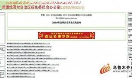 新疆最新新闻爆料网站,聚焦热点事件，揭秘幕后真相