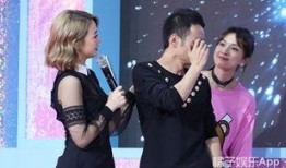 李维嘉最新爆料,揭秘娱乐圈不为人知的幕后故事